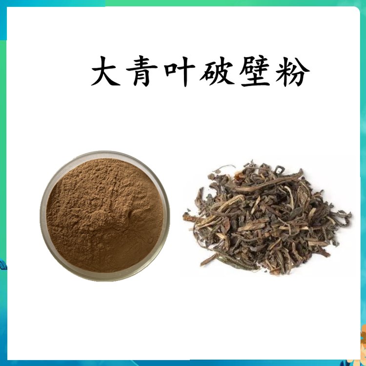 大青叶破壁粉 植物萃取 浓缩粉末 水溶性好 可定制