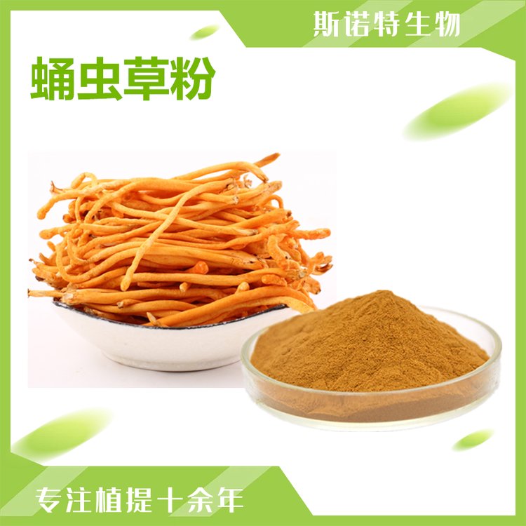 蛹虫草粉 常规提取 多种规格 水提供应 可按需定制