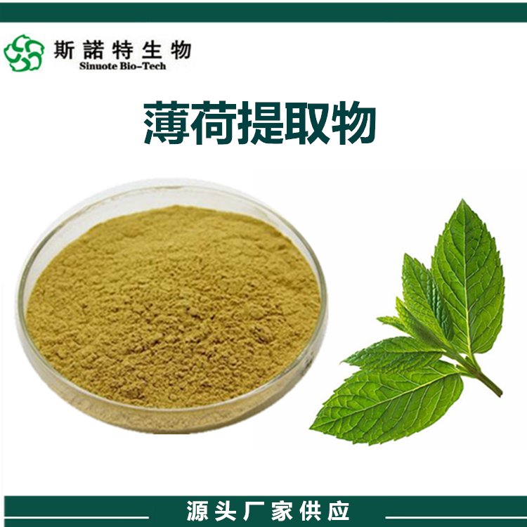 薄荷提取物 粉末流动性好 规格多种 品质优良 斯诺特生物