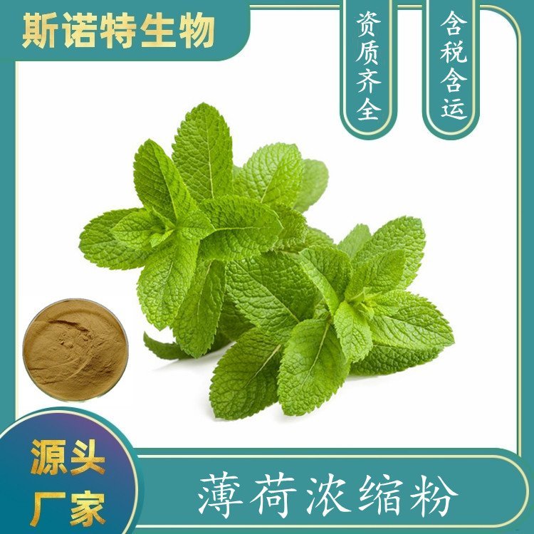 薄荷浓缩粉 植物萃取 1公斤起订 品质优良 支持拿样