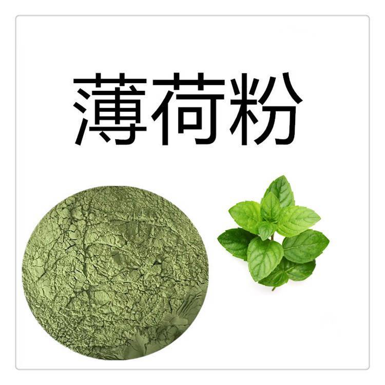 薄荷粉 水提工艺 多种规格 库存充足 品质优良 支持拿样
