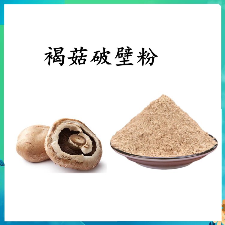 褐菇破壁粉 粉末均匀 无肉眼可见杂质 资质齐全 长期供应