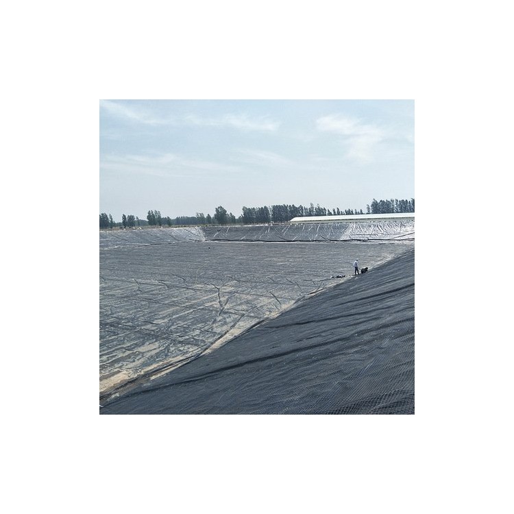 沼液池黑膜 沼气收集土工膜 氧化塘HDPET土工膜厂家