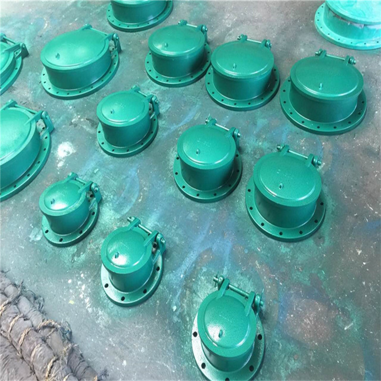 玻璃钢拍门